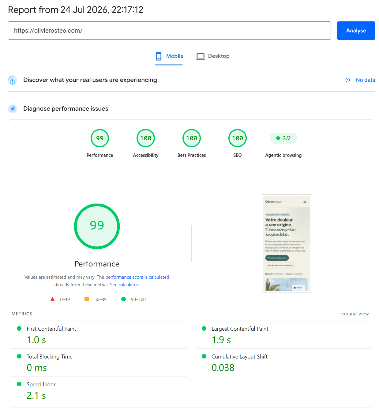 PageSpeed Insights mobile : 99 / 100